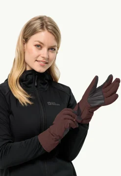 Alpspitze Merino Glove