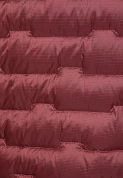 Passamani Down Hoody W Rds